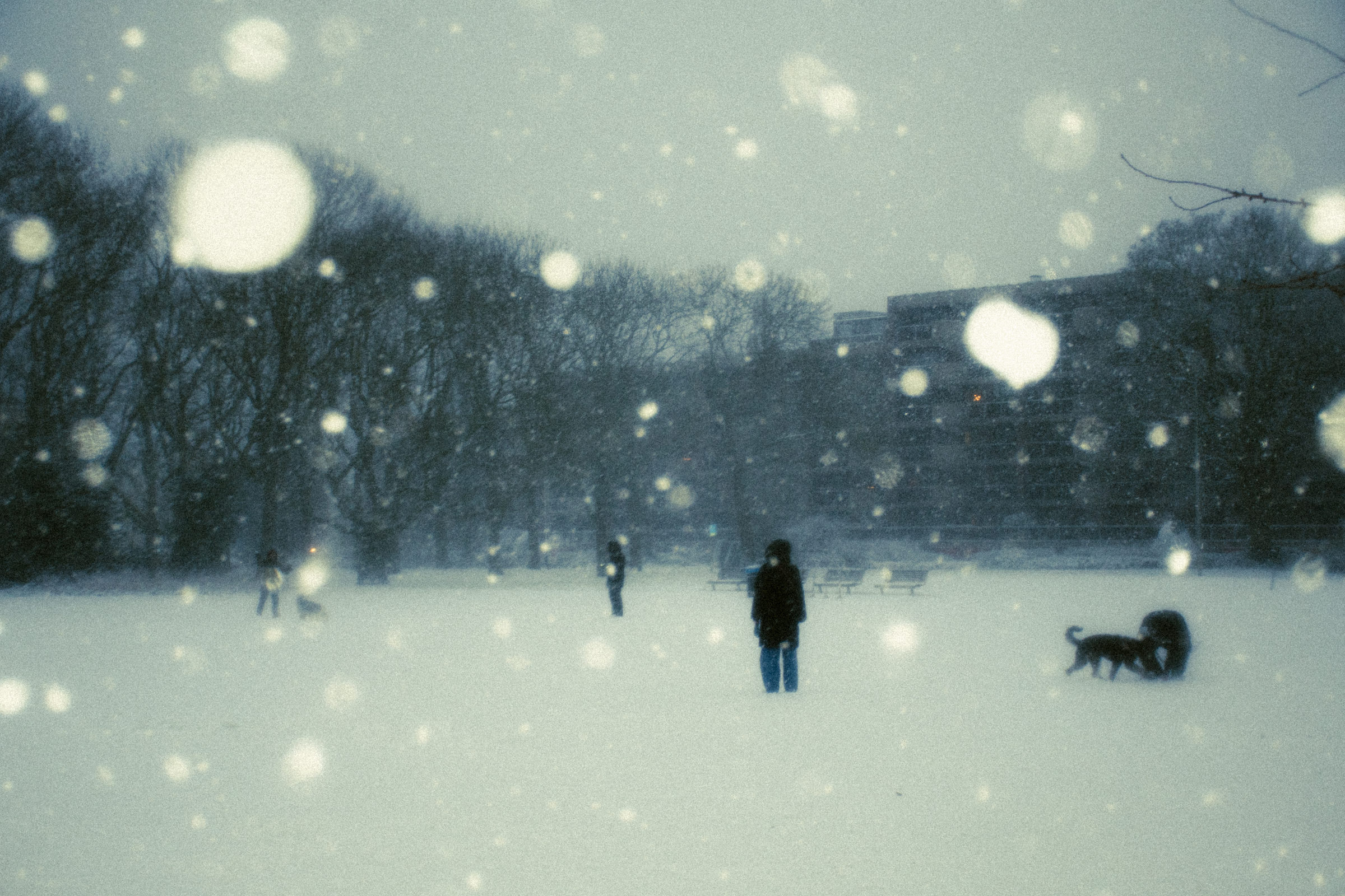 Snow